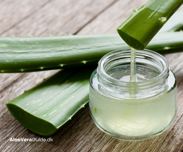 naturlig skønhed med aloe vera