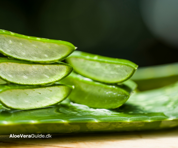 hvordan smager aloe vera