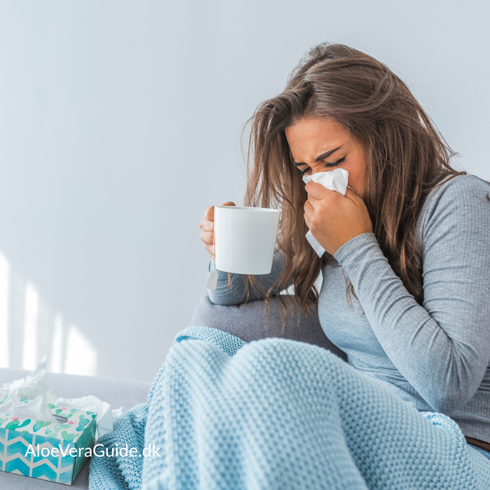 Aloe vera og immunforsvar