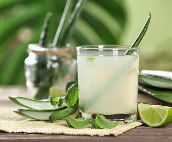 Aloe vera drik