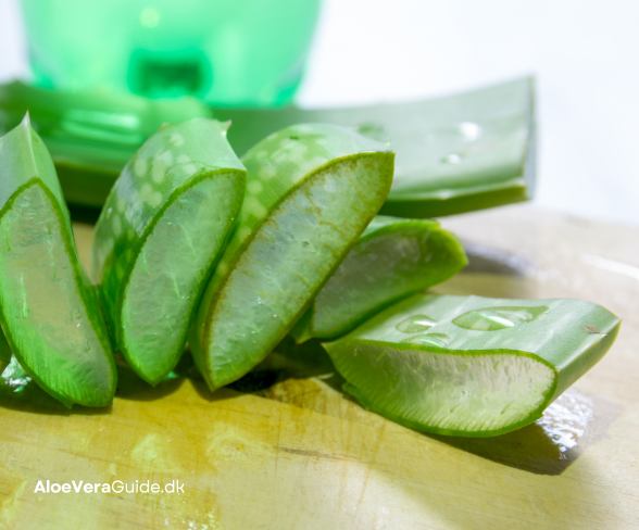 Aloe vera mod Strawberry Legs